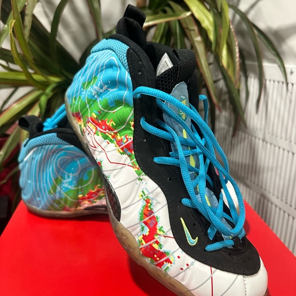 foamposite weatherman size 12